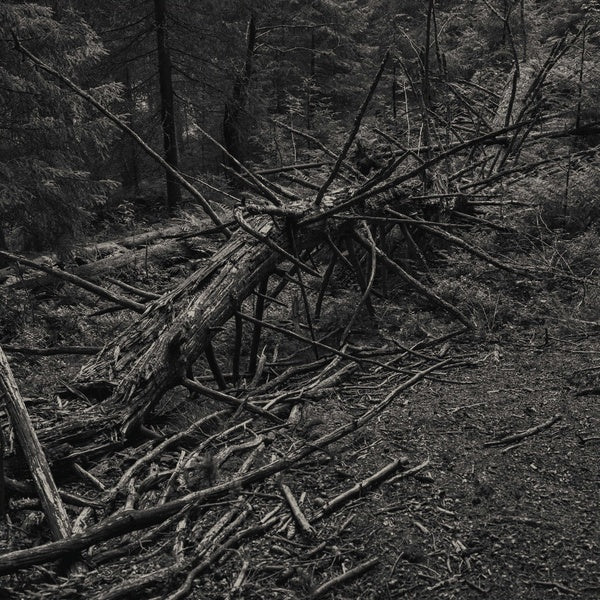 SULT - Always I Gnaw |-Music History