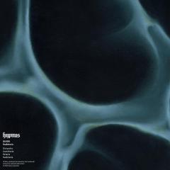 BLNDR - Radiolaria (VINYL 12") | Mint (M) Mint (M)--Music History