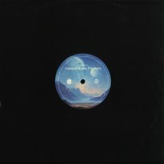 Various - Transient States. Feedback (VINYL 12") | Mint (M) Mint (M)--Music History