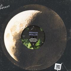 Brendon Moeller - Motion (VINYL 12") |--Music History