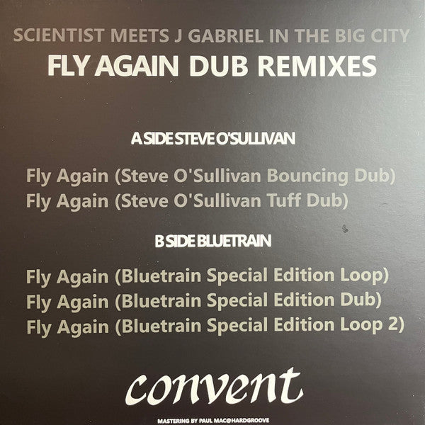 Scientist - Fly Again Dub Remixes (VINYL) | Mint (M) Mint (M)--Music History