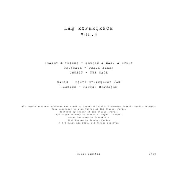 Various Artists - (PRE-ORDER TBA) Lab Experience Vol. 3 (SWIRL VINYL 12") | Mint (M) Mint (M)--Music History