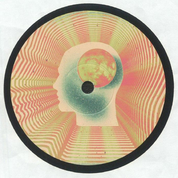 Dust City Diaries EP (VINYL) | Mint (M) Generic--Music History