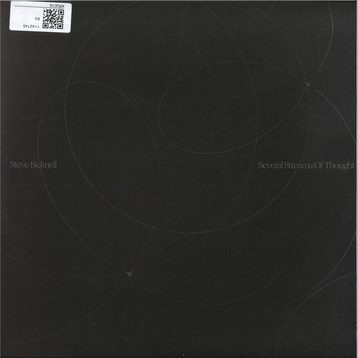 Steve Bicknell - Several Streams Of Thought (2xVINYL) | Mint (M) Mint (M)--Music History