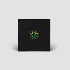 Scheermann - Viciosa (VINYL 12") | Mint (M) Mint (M)--Music History