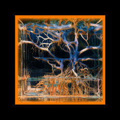 Batu (2) - Question Mark (VINYL) | Mint (M) Mint (M)--Music History