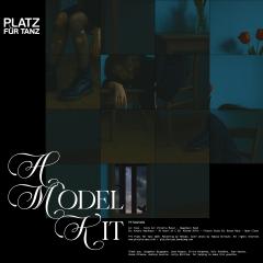 A Model Kit (VINYL 12") | Mint (M) Mint (M)--Music History