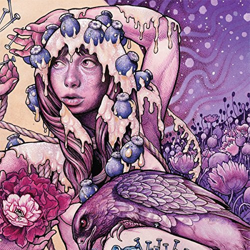 Baroness Try To Disappear (Picture Disc) (Indie Exclusive) - Vinyl-Music History