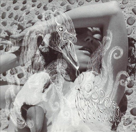 Bjork Vespertine - Vinyl-Music History