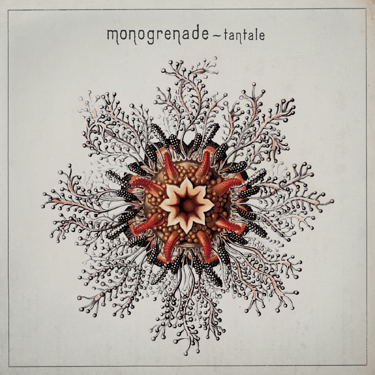 Monogrenade - Tantale (CD) |-Music History