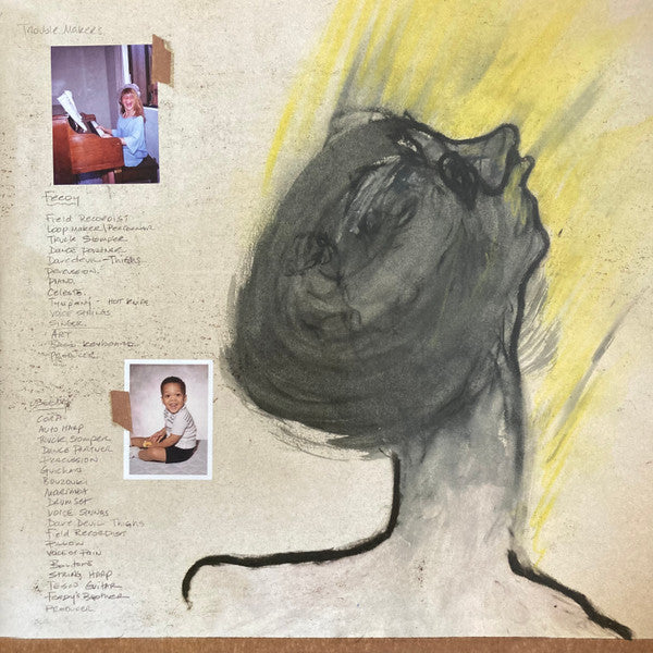 Fiona Apple - The Idler Wheel... (VINYL) | Mint (M) Mint (M)-Music History