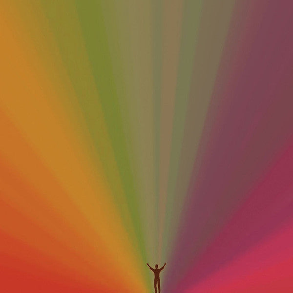 Edward Sharpe And The Magnetic Zeros - Edward Sharpe And The Magnetic Zeros (VINYL) | Near Mint (NM) Near Mint (NM)-Music History