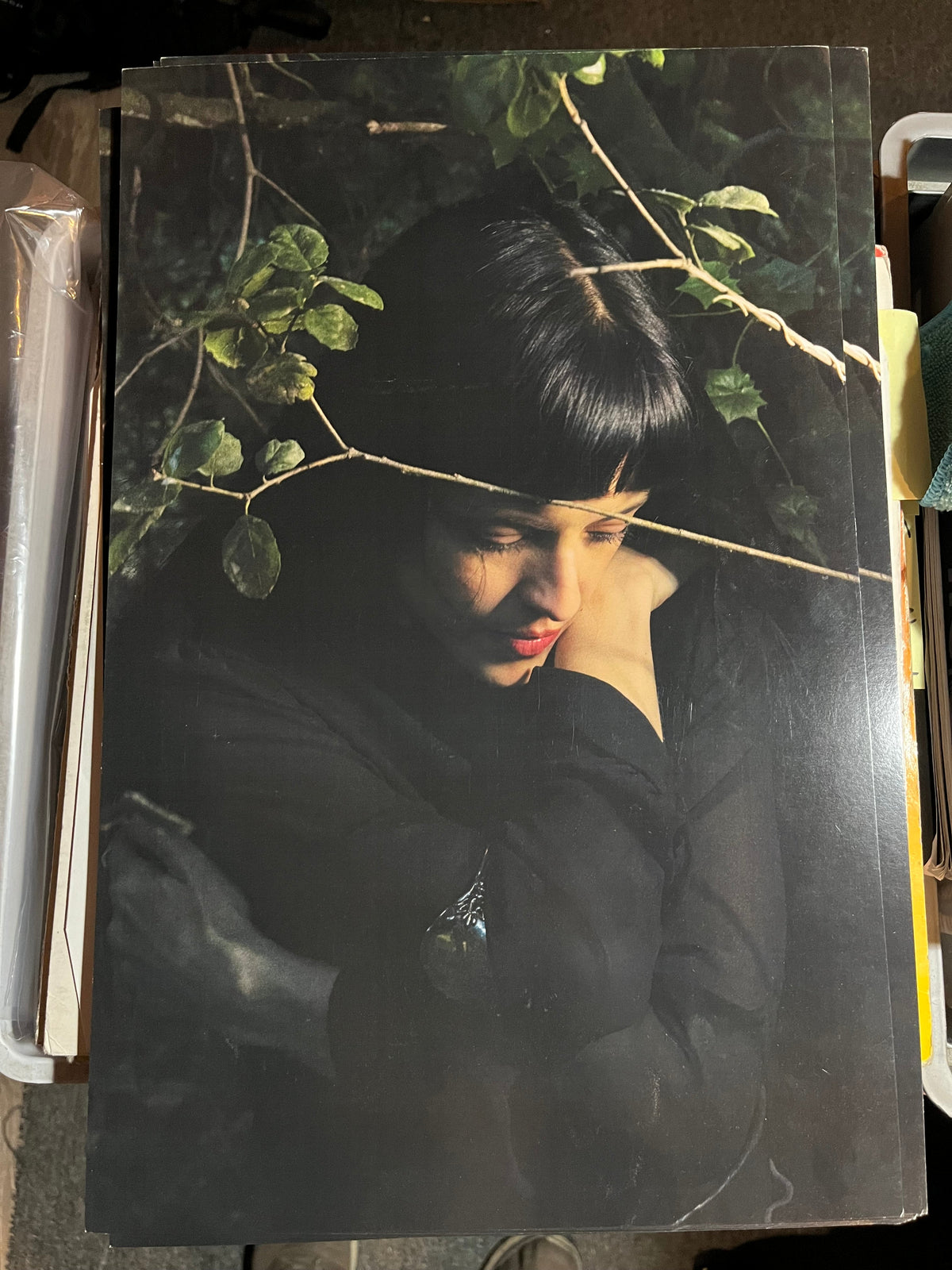 Maria Zardoya / Not For Radio - Melt 2025 Album Poster Litho 11" x 17" The Marias |-Music History