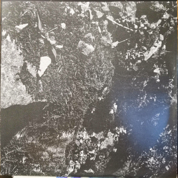 1979 (VINYL) |-Music History