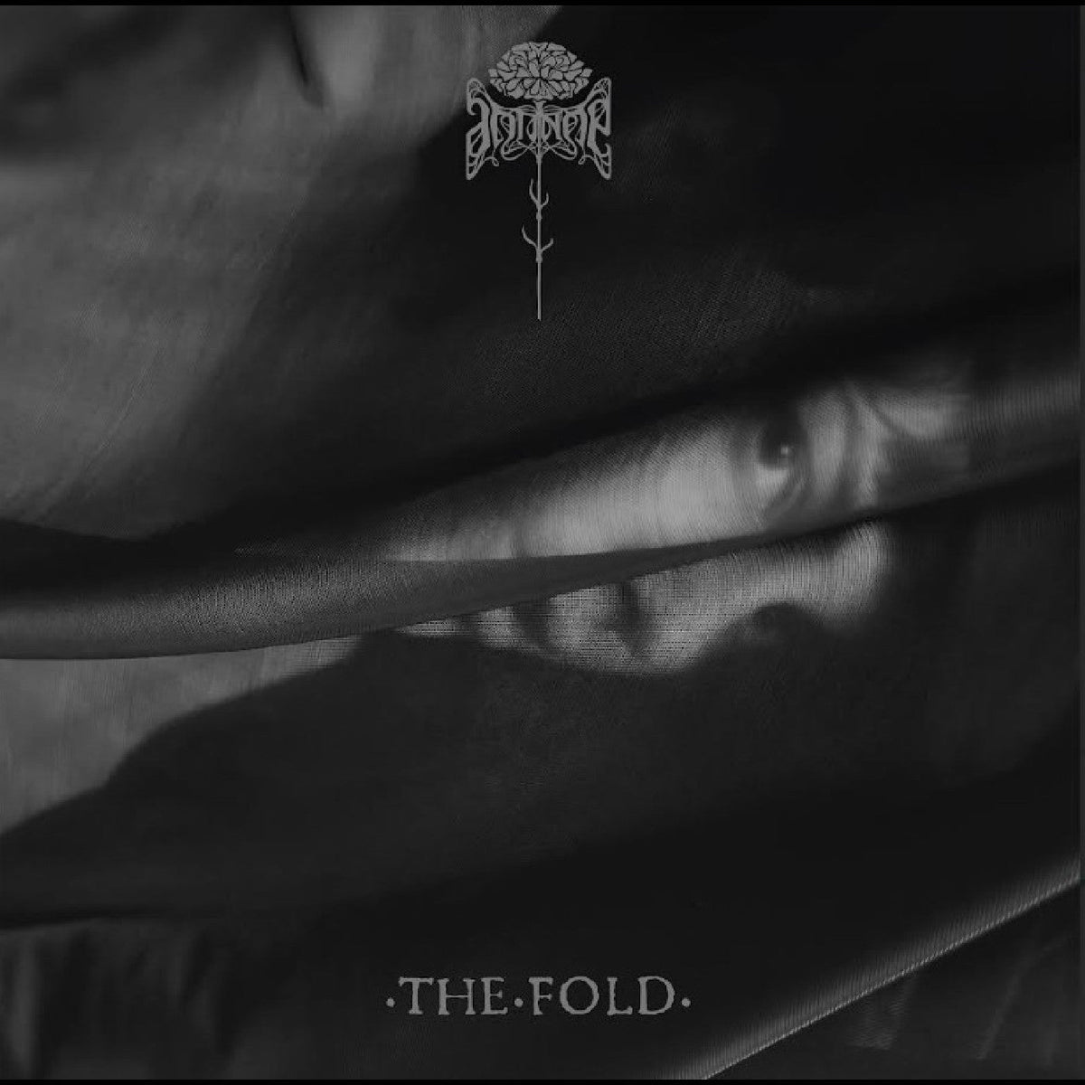 Antinoë - (PRE-ORDER 12/12/25) The Fold [CD] | Mint (M) Mint (M)-Music History