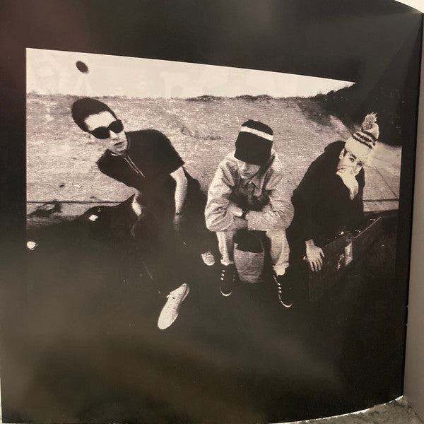 Check Your Head | Mint (M) Mint (M)-Music History