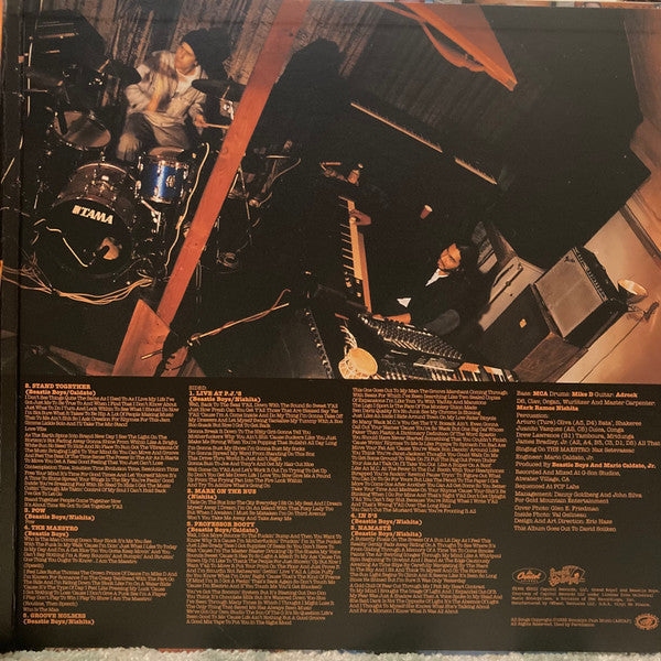 Check Your Head | Mint (M) Mint (M)-Music History