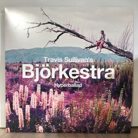 Bjorkestra - Hyperballad | Mint (M) Mint (M)-Music History