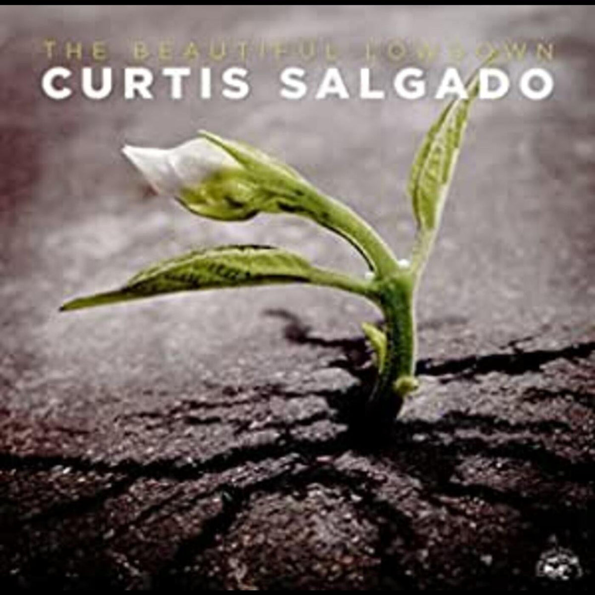 Salgado, Curtis - Beautiful Lowdown (CD) |-Music History
