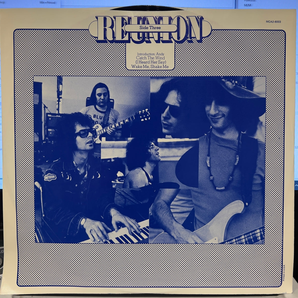 The Blues Project - Reunion In Central Park | Near Mint (NM) Near Mint (NM)-Music History
