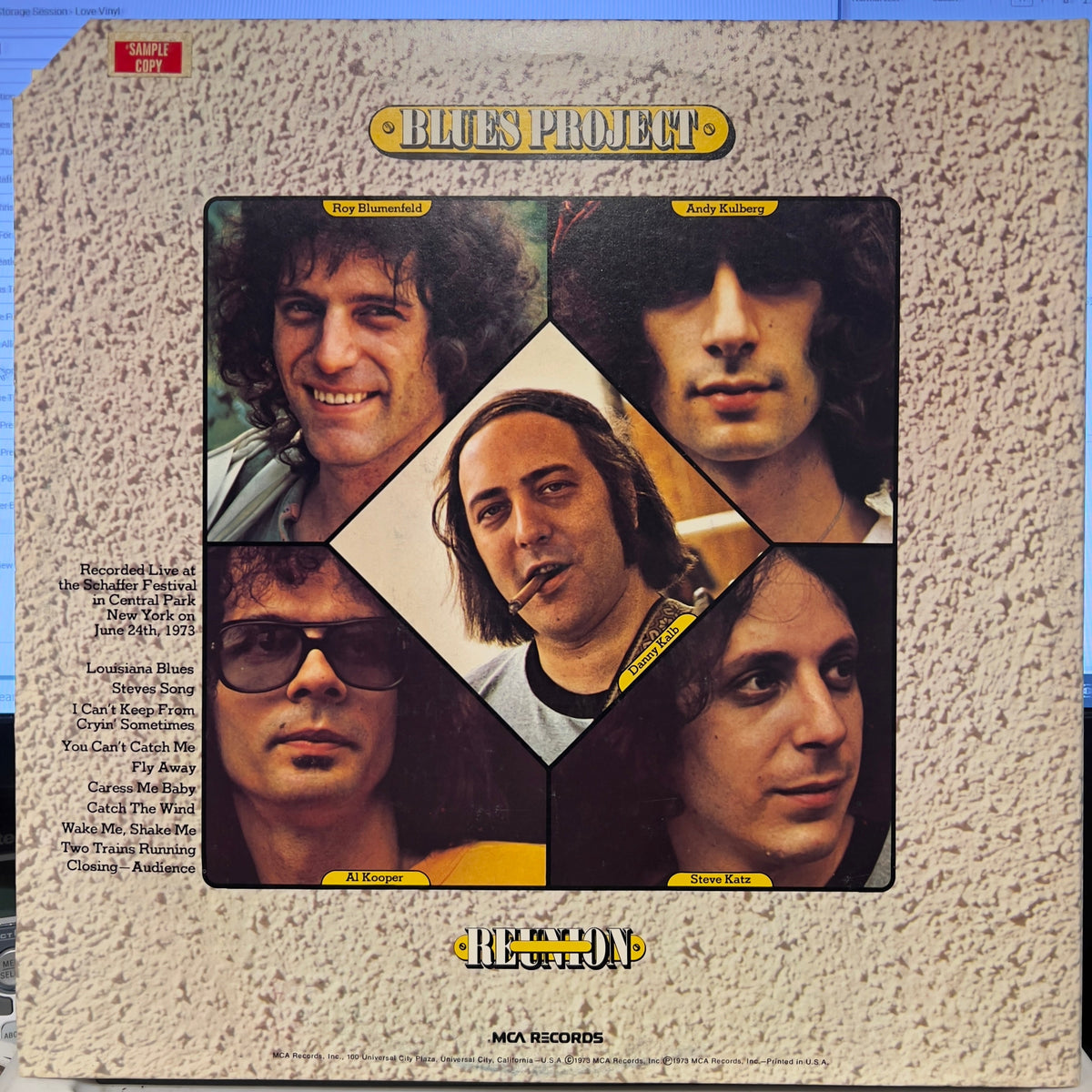 The Blues Project - Reunion In Central Park | Near Mint (NM) Near Mint (NM)-Music History