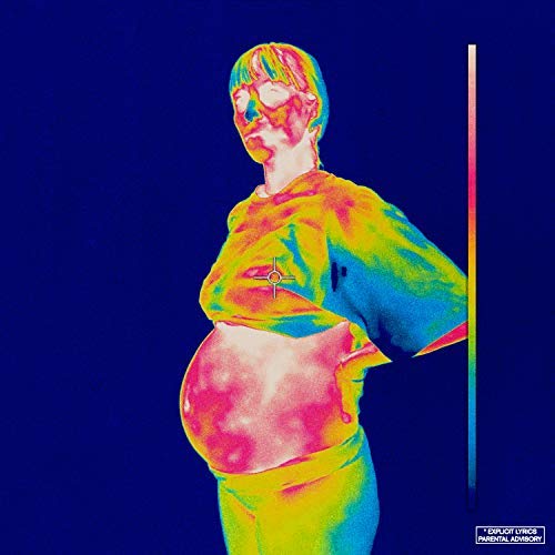 Brockhampton - Iridescence (Clear Vinyl, Gatefold LP Jacket, Download Insert) (2 Lp's) | Mint (M) Mint (M)-Music History