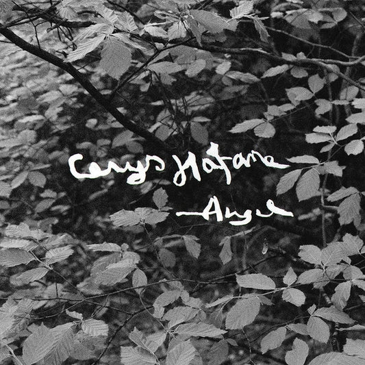 Angel [Cd] |-Music History