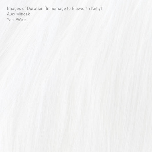 Yarn/Wire - Images of Duration (In homage to Ellsworth Kelly) (CD) | Mint Mint-Music History
