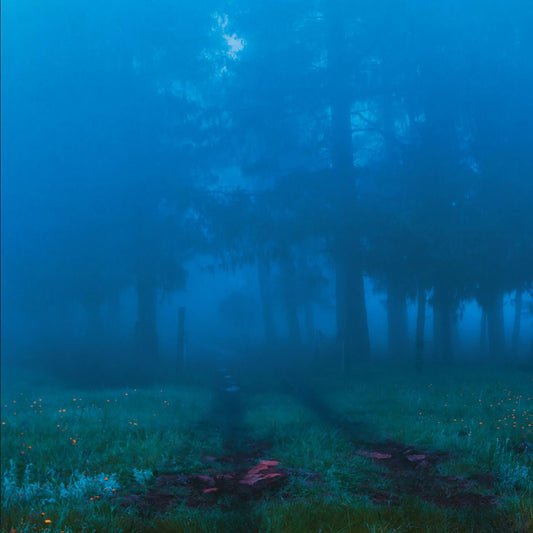 Various Artists - Commune (Vinyl) | Mint (M) Mint (M)-Music History