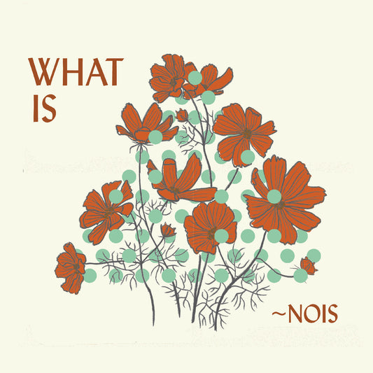 ~Nois - (PRESALE 7/31/26) What is ~Nois? (CD) |-Music History