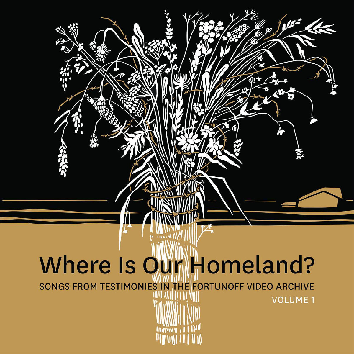 Slepovitch, Zisl & Sasha Lurje - Where Is Our Homeland? Songs From Testimonies in the Fortunoff Video Archive, Vol. 1 |-Music History