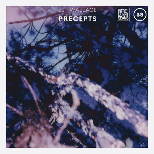 Wallace, Eli - Precepts (CD) |-Music History