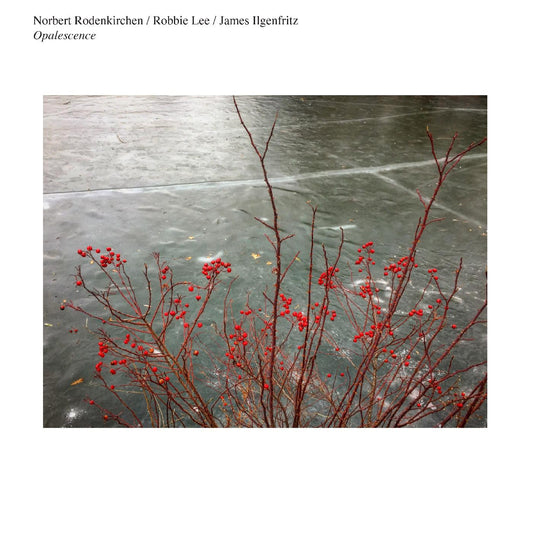 Norbert Rodenkirchen/Robbie Lee/James Ilgenfritz - Opalescence (Vinyl) | Mint (M) Mint (M)-Music History
