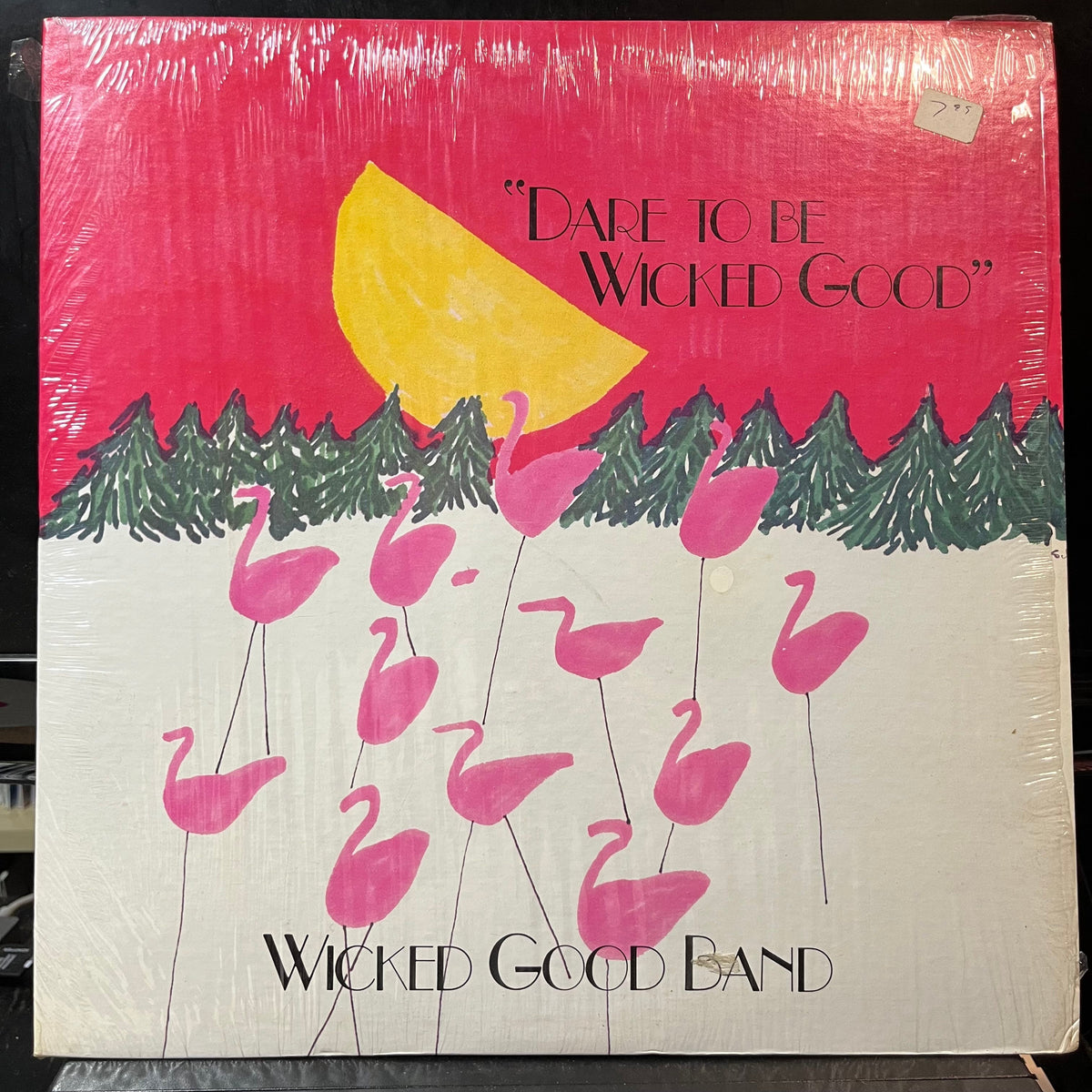The Wicked Good Band - Dare To Be Wicked Good (VINYL LP WICKED GOOD WGR 1501 1985) | USED Near Mint (NM or M-) Near Mint (NM)-Music History