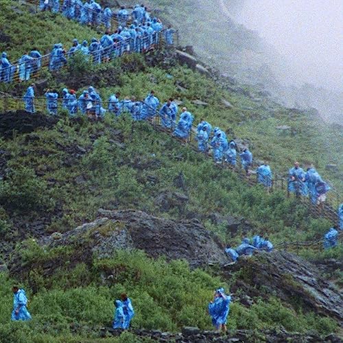 Courtney Barnett - End Of The Day (Music From The Film Anonymous Club) | Mint (M) Mint (M)-Music History