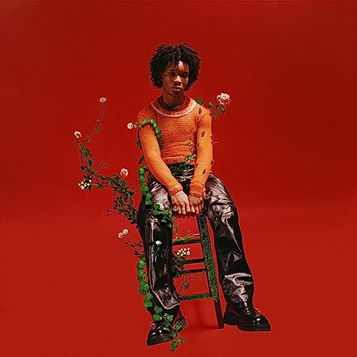 d4vd - Petals To Thorns [Translucent Black Ice LP] | Mint (M) Mint (M)-Music History