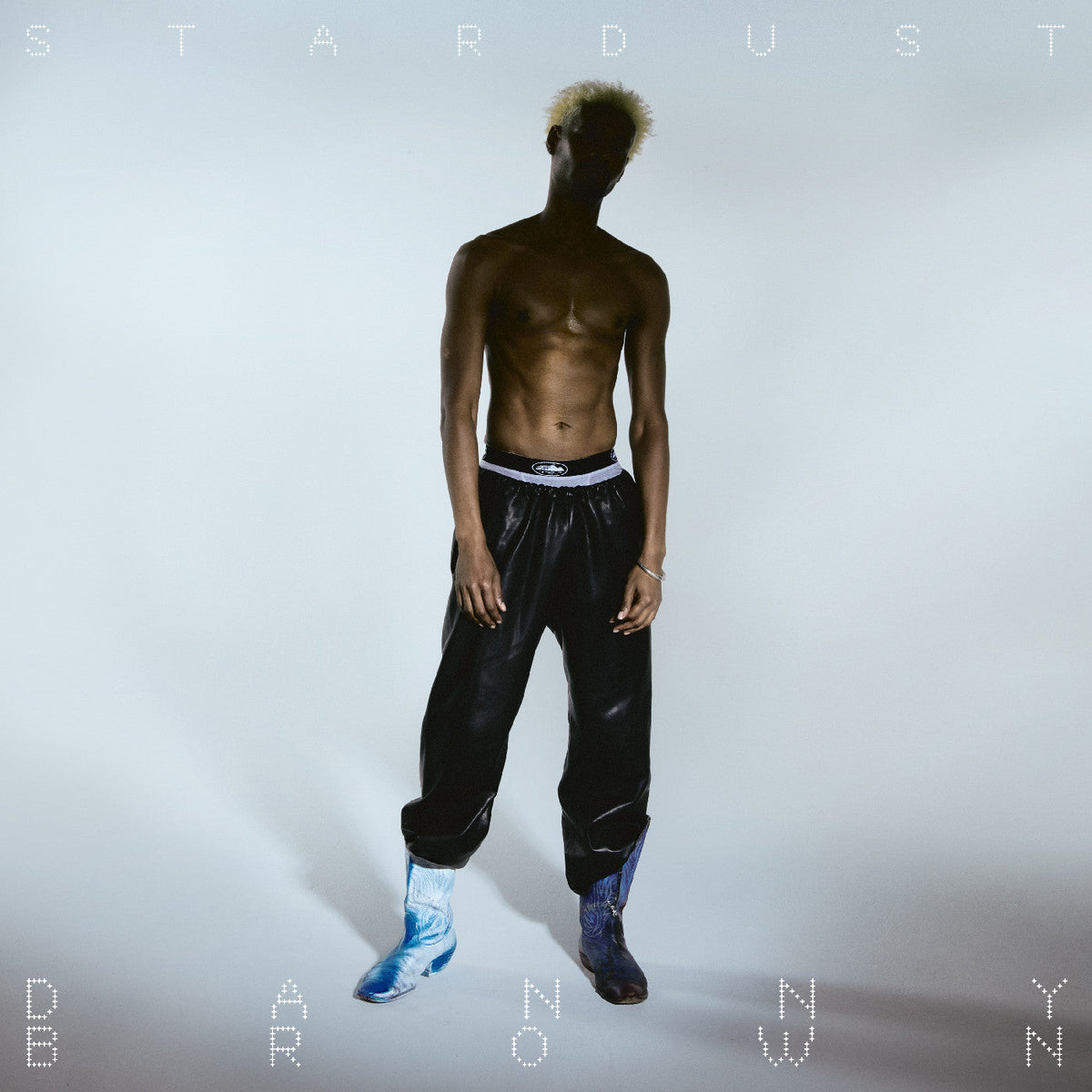 Danny Brown - Stardust |-Music History