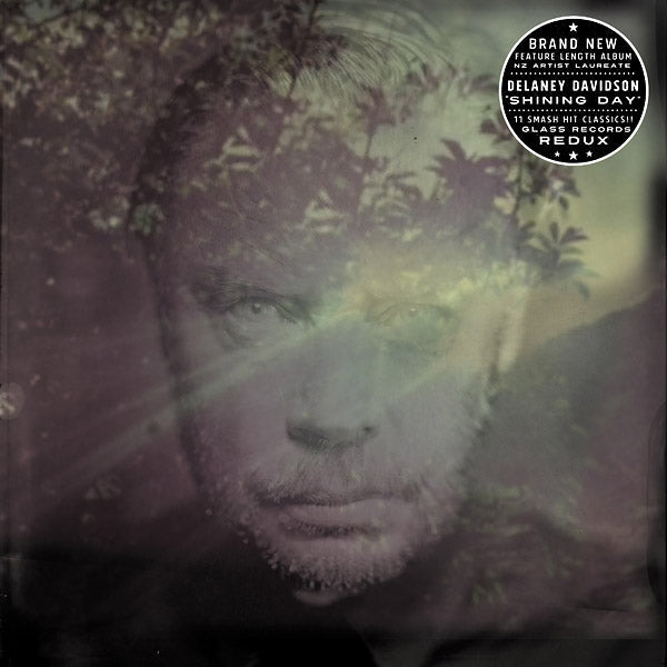 DELANEY DAVIDSON - Shining Day (VINYL) | Mint (M) Mint (M)-Music History