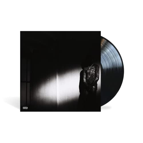 Destroy Lonely - NO STYLIST (VINYL LP Opium/Interscope B0036789-01) | NEW-Music History