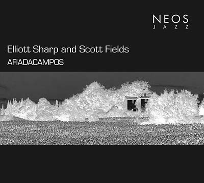 ELLIOTT SHARP & SCOTT FIELDS - Afiadacampos |-Music History