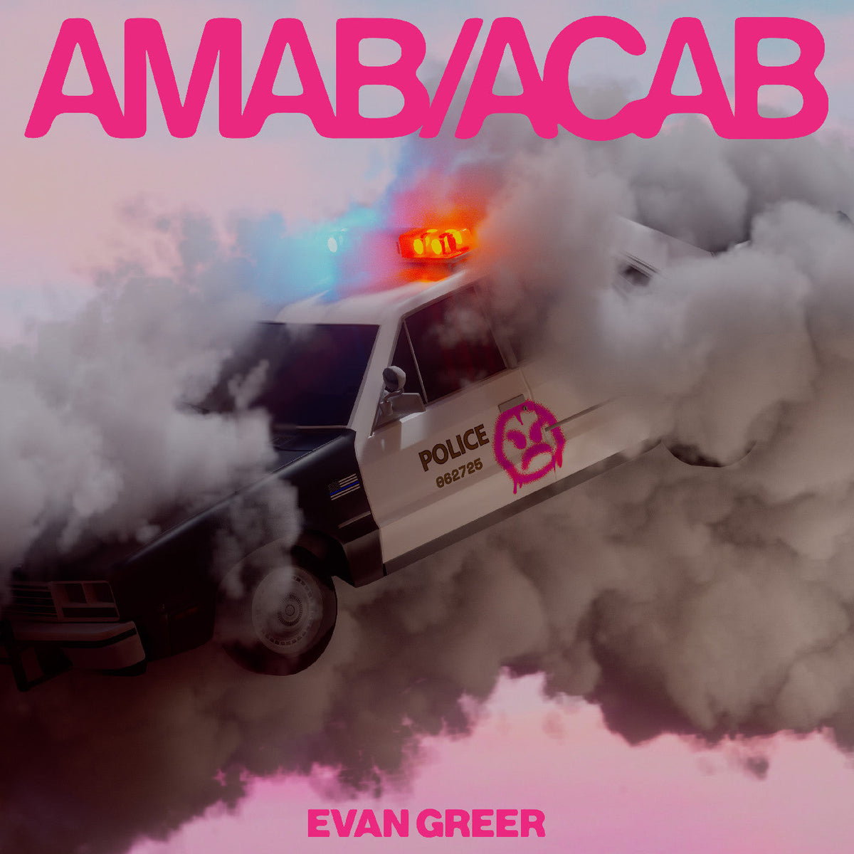 Evan Greer - Amab/Acab (Clear/Pink Cloud VINYL) | Mint (M) Mint (M)-Music History