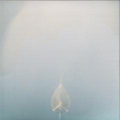 Purelink - Faith (VINYL) | Mint (M) Mint (M)--Music History