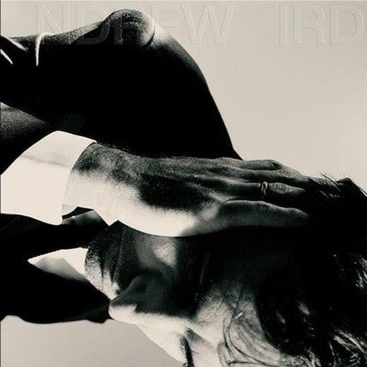 Andrew Bird - Inside Problems [Sky Blue LP] | Mint (M) Mint (M)-Music History