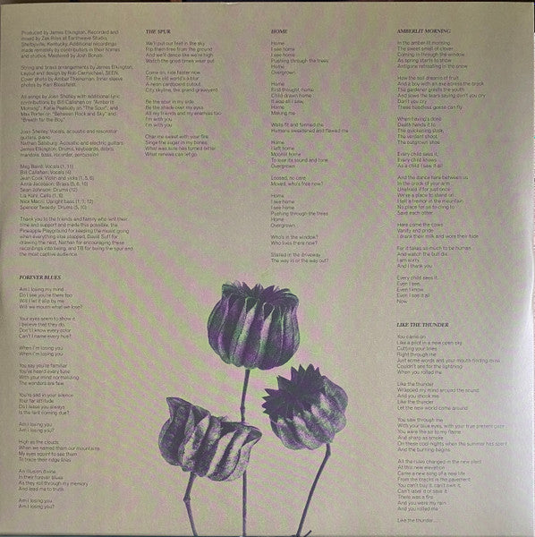 Joan Shelley - The Spur (SILVER VINYL) | Mint (M) Mint (M)-Music History