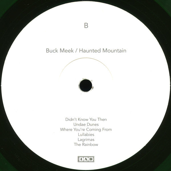 Buck Meek - Haunted Mountain | Mint (M) Mint (M)-Music History