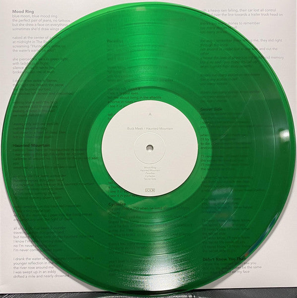 Buck Meek - Haunted Mountain | Mint (M) Mint (M)-Music History