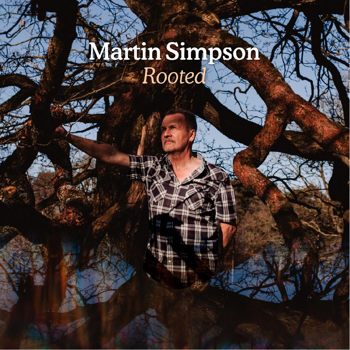 Simpson, Martin - Rooted (CD) |-Music History