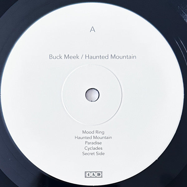 Buck Meek - Haunted Mountain | Mint (M) Mint (M)-Music History