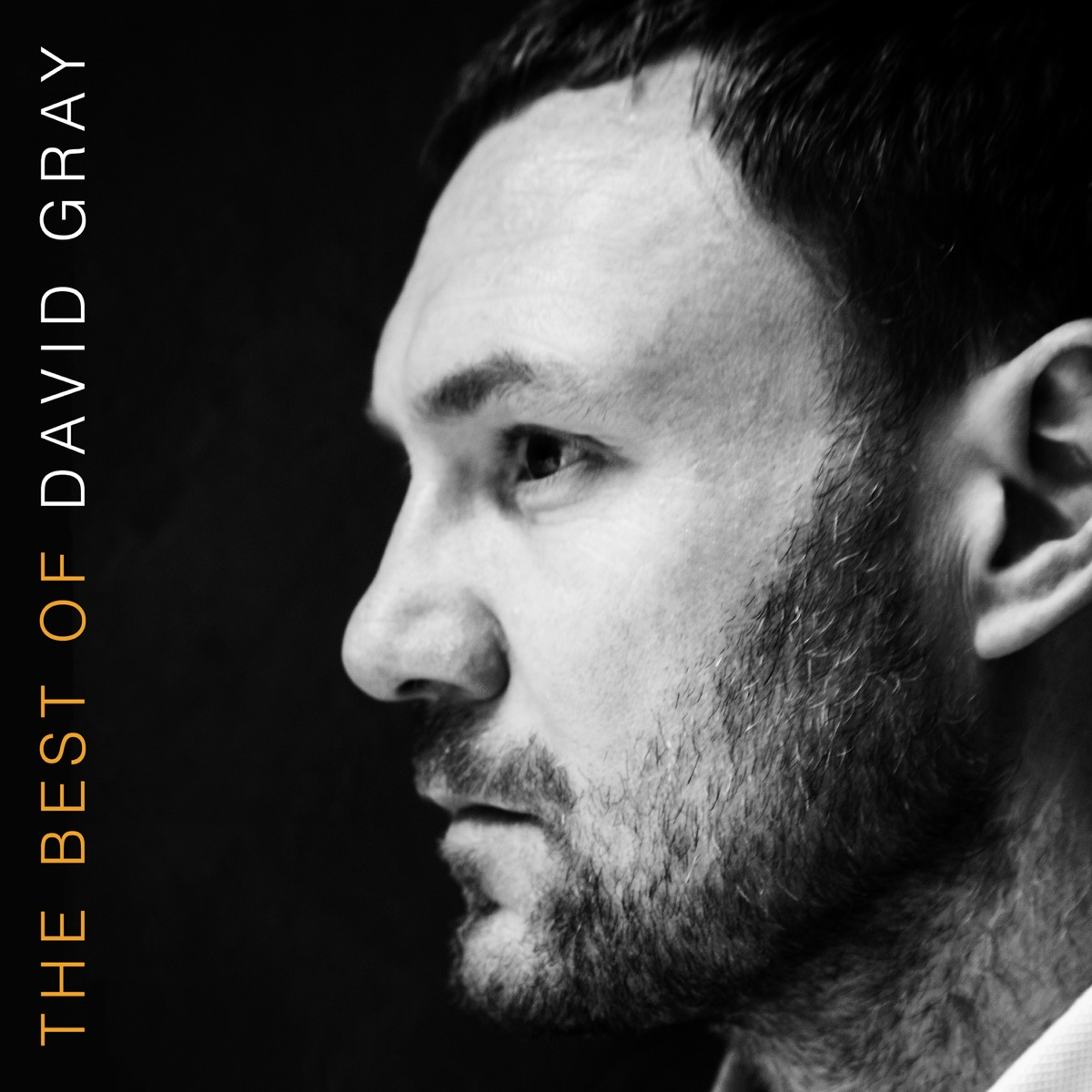 David Gray - The Best Of David Gray (BEST BUY EXCLUSIVE | ORANGE VINYL) | Mint (M) Mint (M)-Music History