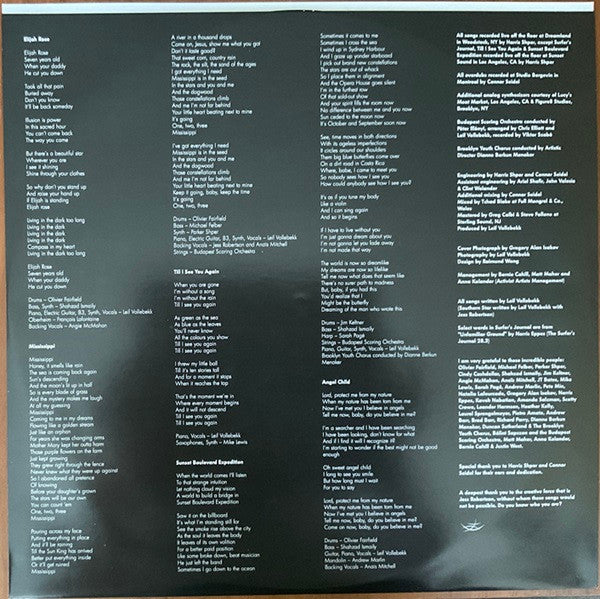 Leif Vollebekk - Revelation (VINYL) | Mint (M) Mint (M)-Music History